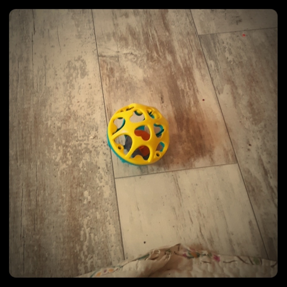Toy